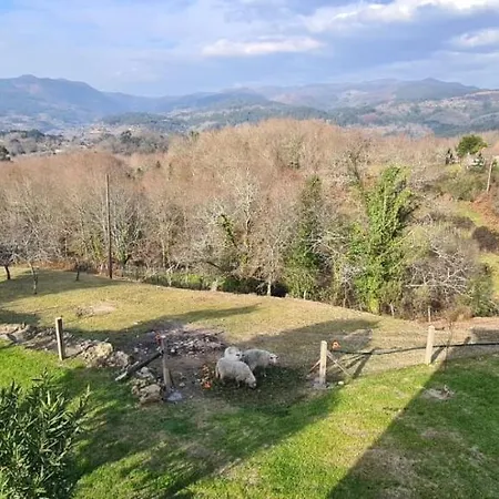 Casa Lisboana * Pontevedra