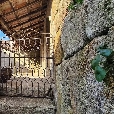 Hébergement de vacances Casa Lisboana